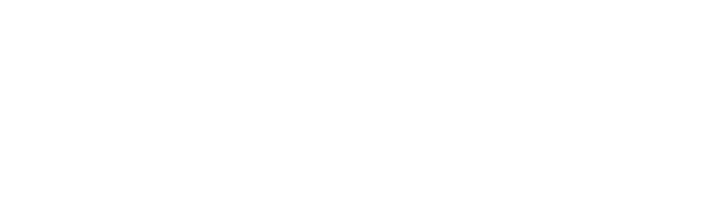 Practical Business Solutions Ireland Trans Logo